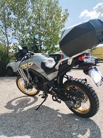 Transalp 750 modello 2025
