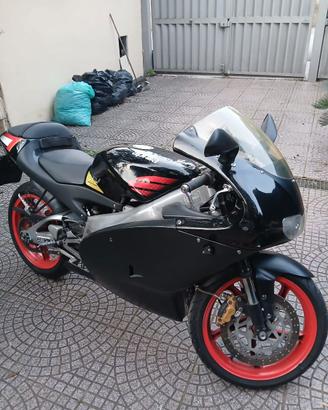 splendida Aprilia Replica Poggiali