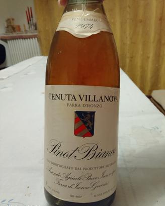 pinot bianco vino 1974