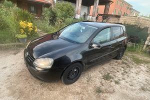 Golf 5 radiata per export