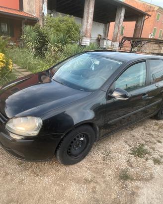 Golf 5 radiata per export