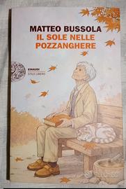 Il Sole nelle Pozzanghere - Matteo Bussala