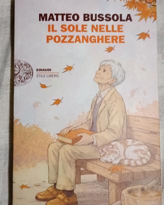 Il Sole nelle Pozzanghere - Matteo Bussala