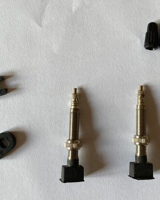 Valvole Tubeless