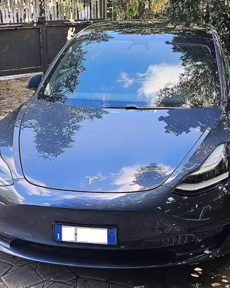 Tesla Model 3 Long Range Dual Motor AWD