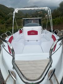 Blumax 19+Carrello Ellebbi 10q + Yamaha 40/70