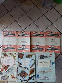 lotto libri,pesci ,insetti,fossili,flora alpina,