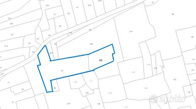 Terreno Agricolo Uliveto di ~7.000 mq - Fronte Str