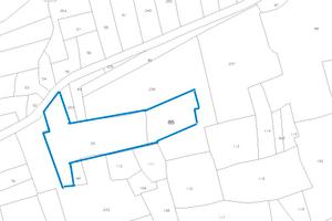 Terreno Agricolo Uliveto di ~7.000 mq - Fronte Str