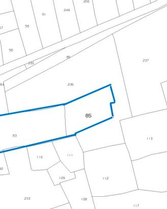 Terreno Agricolo Uliveto di ~7.000 mq - Fronte Str