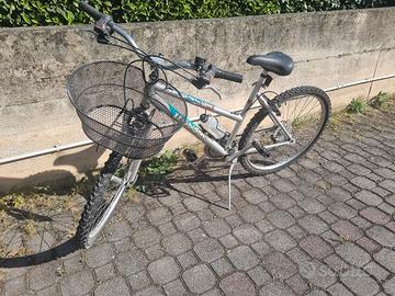 bici mountain bike donna 24