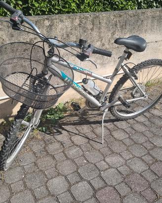 bici mountain bike donna 24