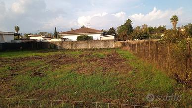 Terreno a Borgo Bainsizza (Cisterna di Latina)