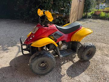 Quad  115 cc 4 tempi