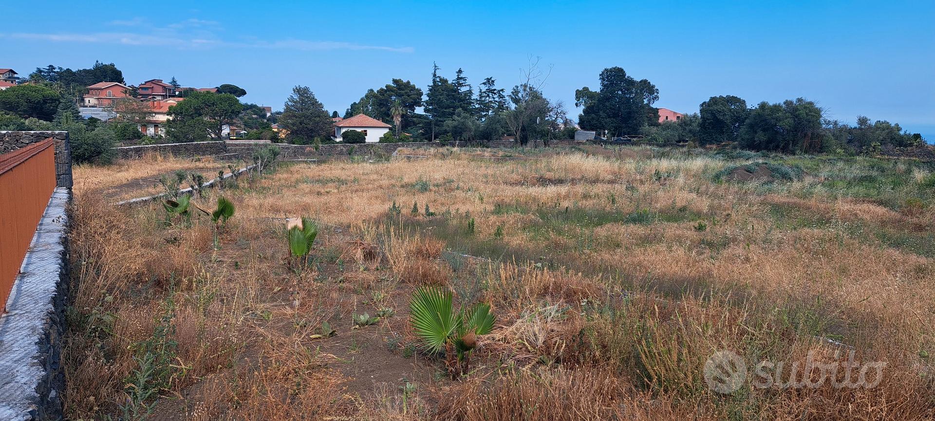 terreno agricolo edificabile - Vista 3