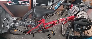 Bici mountain bike
