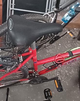 Bici mountain bike
