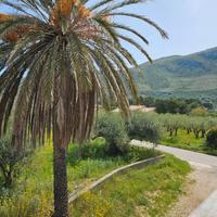 Appartamento rustico in sicilia stagionale