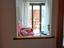 Immagine 13