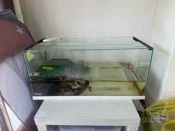 Acquario 70 L con isolotto e 2 tartarughe