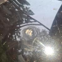 coffano golf 7.5 del 2018