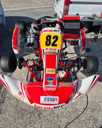 BIREL KZ S12 CON TM R2 E RADIATORE KE