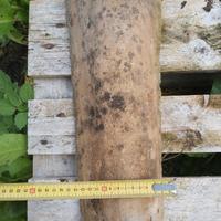 Coppi antichi del 1500