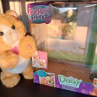 Daisy gattino giocattolo