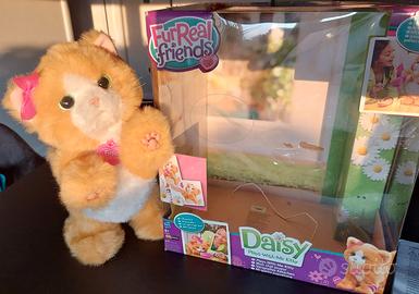 Daisy gattino giocattolo