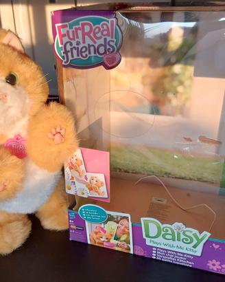 Daisy gattino giocattolo