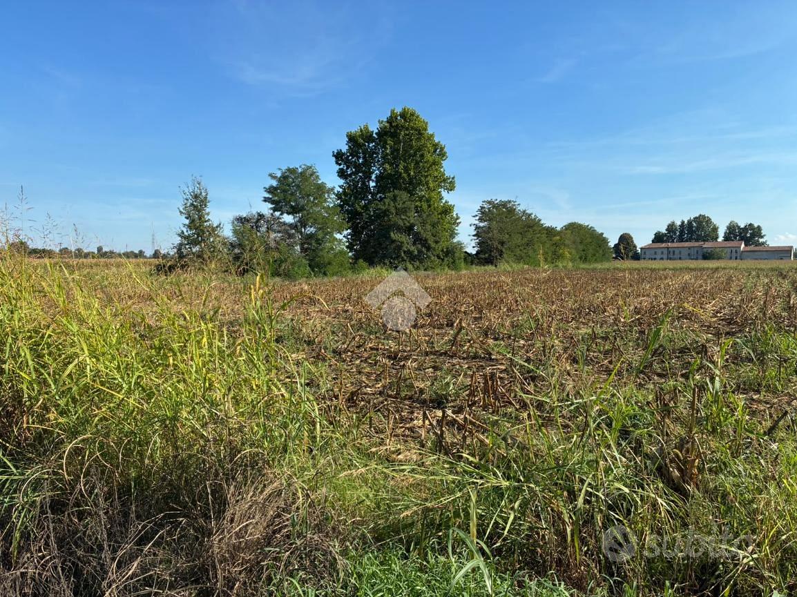 TER. AGRICOLO A CORBETTA - Vista 2
