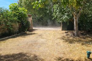 Terreno agricolo sabaudia