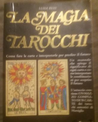 libro per imparare a divinare
