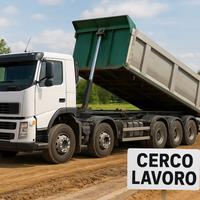 Autista CQC e altro (Disponibilità Immediata)