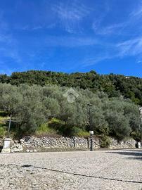 TER. AGRICOLO A OLEVANO ROMANO