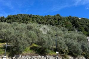 TER. AGRICOLO A OLEVANO ROMANO