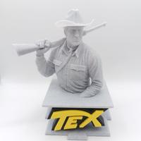 Tex Willer Busto Fumetti Statua Busto Figures 3D