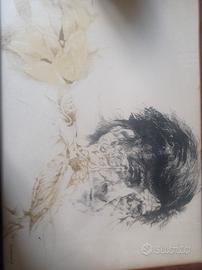 disegno /litografia di Vespignani