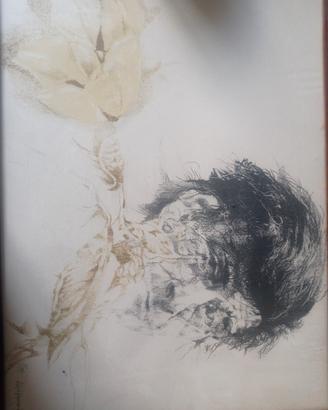 disegno /litografia di Vespignani