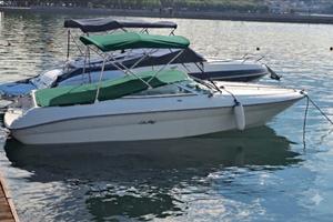 Motoscafo Sea Ray 200