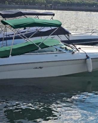 Motoscafo Sea Ray 200