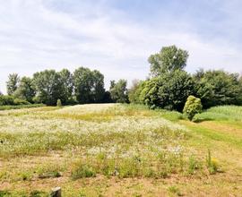 Sacile - Terreno agricolo 43K Rif. V50