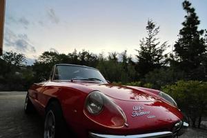 Alfa Romeo Duetto osso di seppia