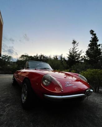Alfa Romeo Duetto osso di seppia