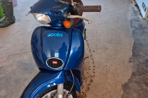 Scarabeo 50 2t.