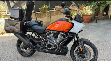 Harley Davidson Pan America special 1250