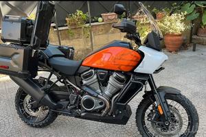 Harley Davidson Pan America special 1250