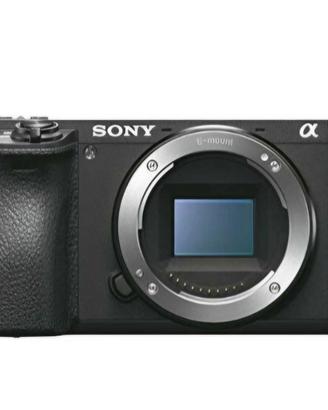 Sony Alpha 6500 + Sony 18-105mm F4