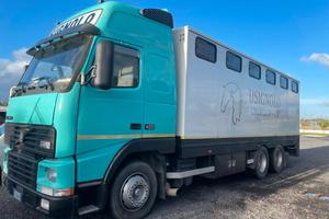 Van trasporto cavalli