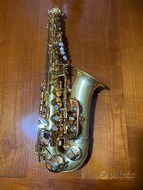 Sax contralto Sequoia Lemon